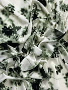 slide-thumbnail-2