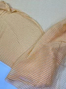 slide-thumbnail-1