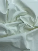 slide-thumbnail-2