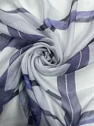 slide-thumbnail-1