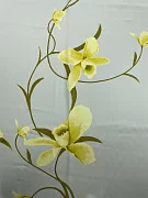 slide-thumbnail-5