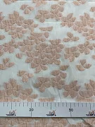 slide-thumbnail-2