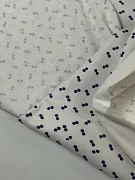slide-thumbnail-2