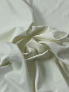 slide-thumbnail-2
