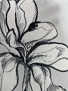 slide-thumbnail-4