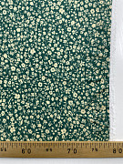 slide-thumbnail-2
