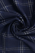 slide-thumbnail-1