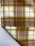 slide-thumbnail-3