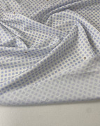 slide-thumbnail-1